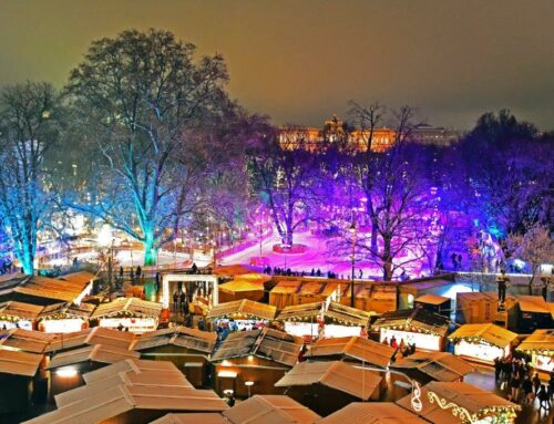 Der Kleine Eistraum startet ins Leben